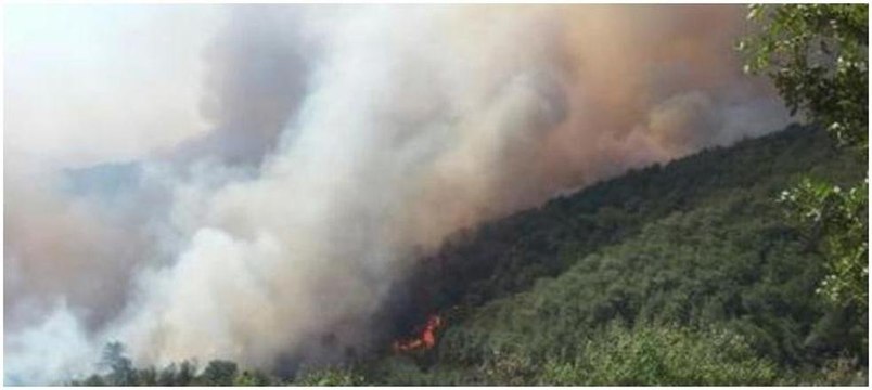 Mersin'deki orman yangınından ilk görüntüler