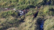 Aerial Filming of Scottish Landscapes