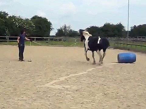 Parelli - Circling Game with Barrel and Cone