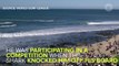 Australian Surfer Punches Shark To Save Himself From Being Attacked