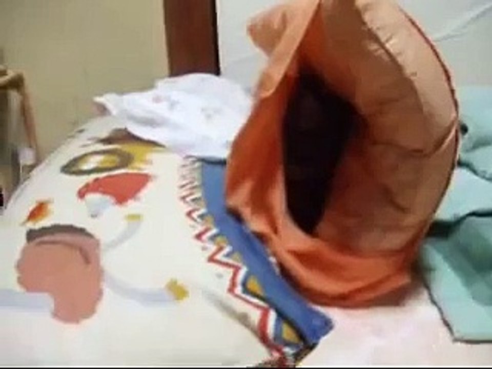枕で遊ぼう！