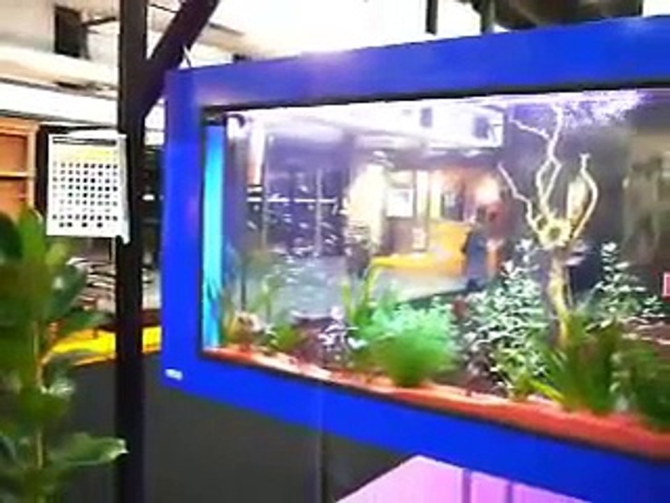 L'aquarium réinventé, original design aquarium suspendu