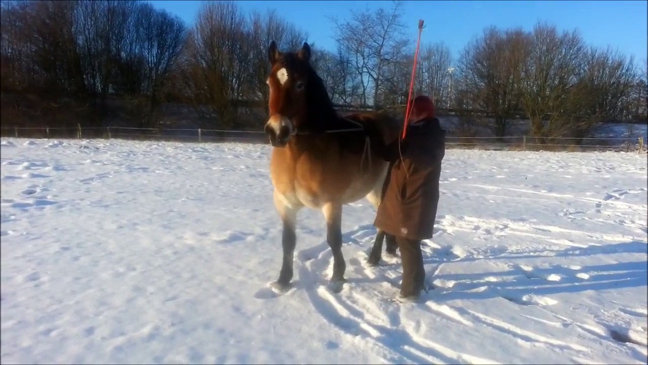 Wintereinbruch in Bimöhlen