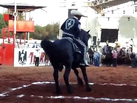 Caballos Bailadores en Guadalajara, Jalisco
