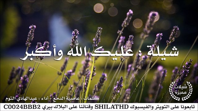 شيلة : عليك الله وأكبر- أداء عبدالهادي التوم | أصلي + مسرع | #شيلات #صوتيات