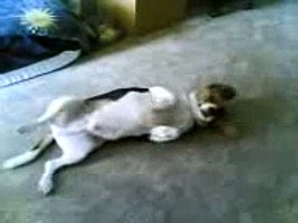 Jonah Scratching Back