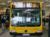 Dresdner Busse / Busses in Dresden