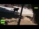 Rampaging bull gores wheelchair user, injures 11 in violent frenzy in Spain