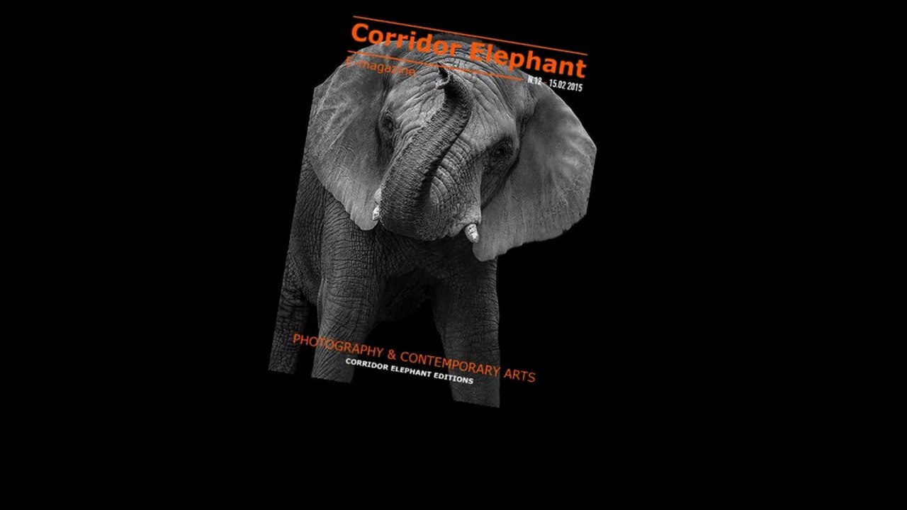 Corridor Elephant Fev15