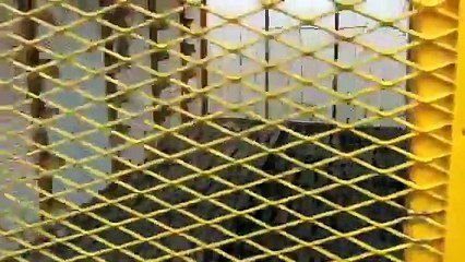 تربية الحمام في ليبيا