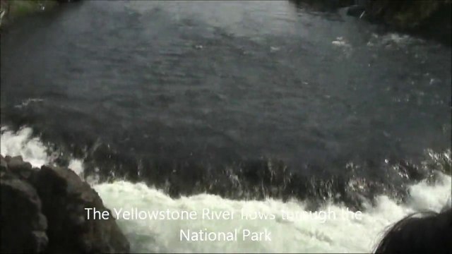 Beautiful Yellowstone National Park and its Abundant Wilfe Life - Wyoming, USA Holidays