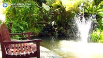 The Imperial Samui Beach Resort 5★ Hotel Samui Thailand