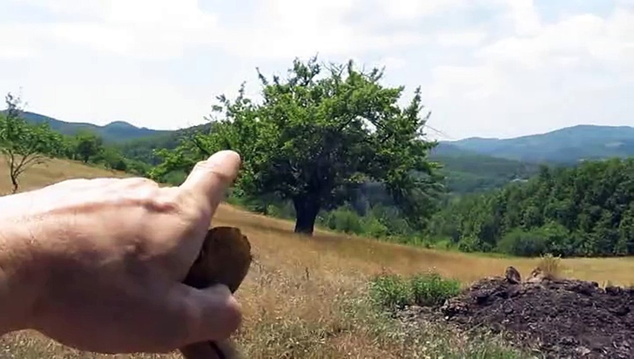 jabuka