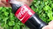 Self Freezing Coca-Cola (The trick that works on any soda!)