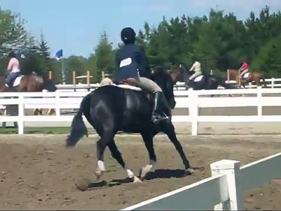 Caledon National