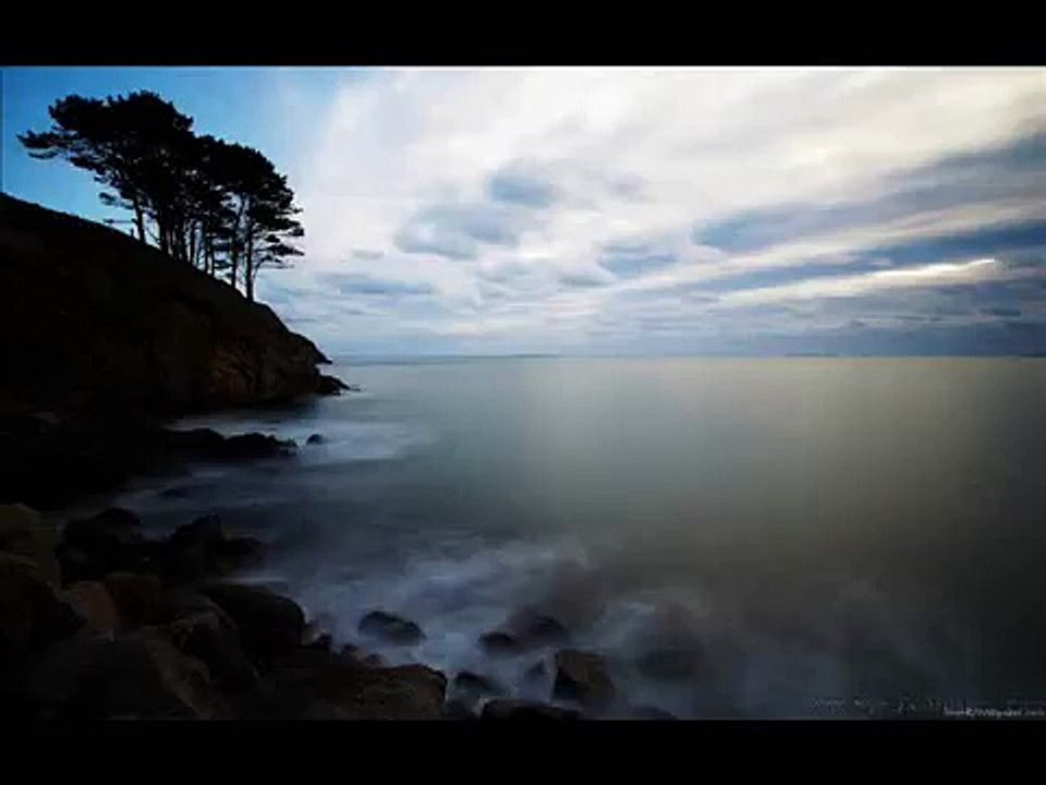 Carbon based lifeforms - Interloper