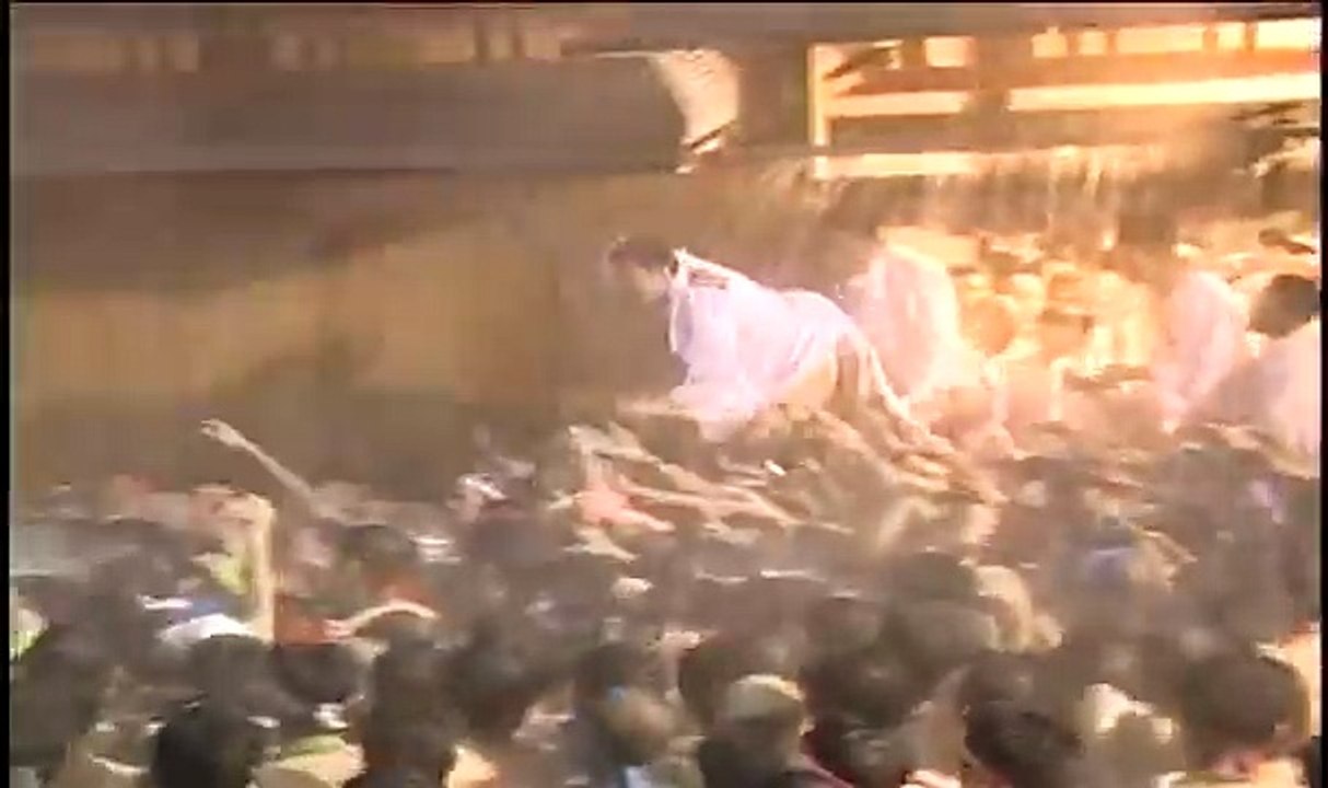 国府宮裸祭り2010　