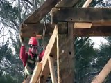 Timber Framing Barn Raising by Preservation Timber Framing