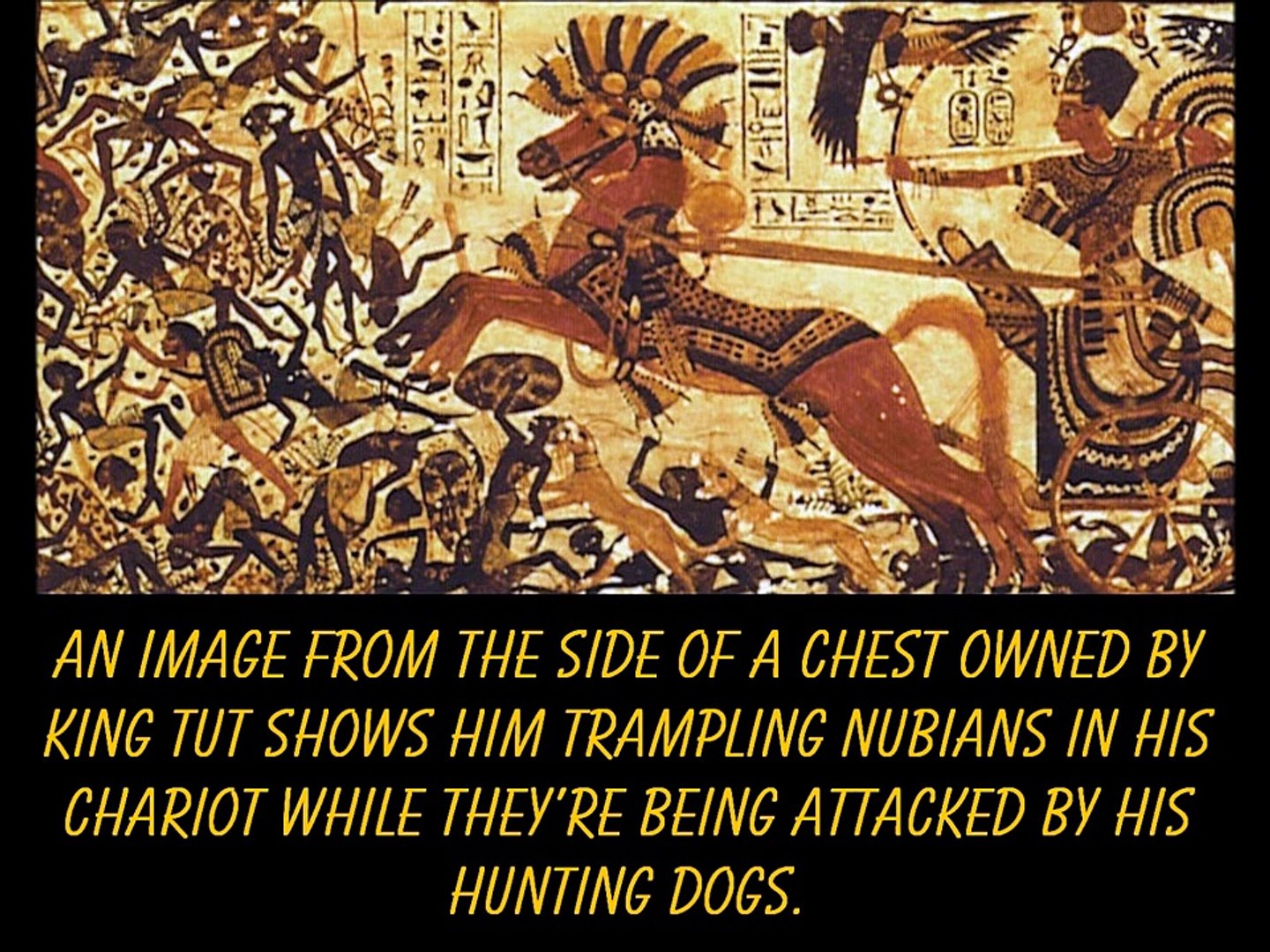 Egypt & Race
