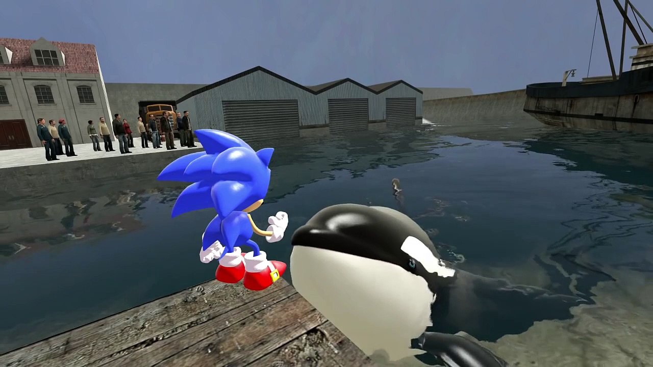 Sonic in Free Willy