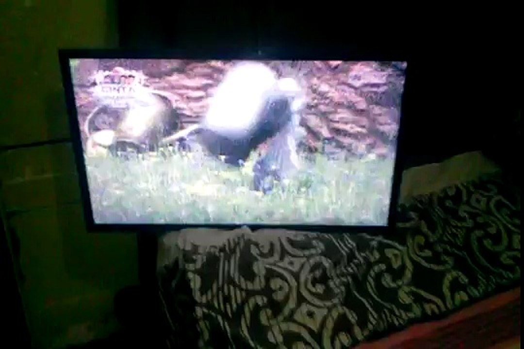 Masha and the bear