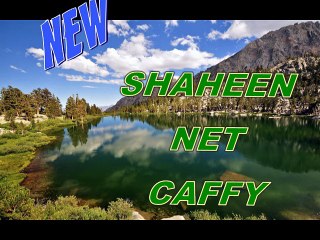 shaheen net caffy and pc center  kot addu
