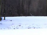 Jed Speiser whacks coyote in snow with .204 on Extreme Predator hunting DVD