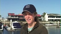 Whale Watching with Animal Communicator Pet Psychic Laura Stinchfield