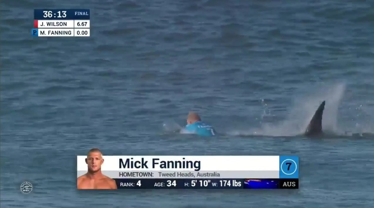Mick Fanning attaqué par un requin en finale du J-Bay Open