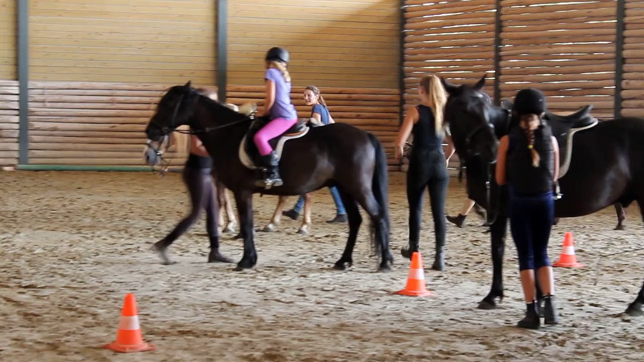Video 01 Début activité équestre