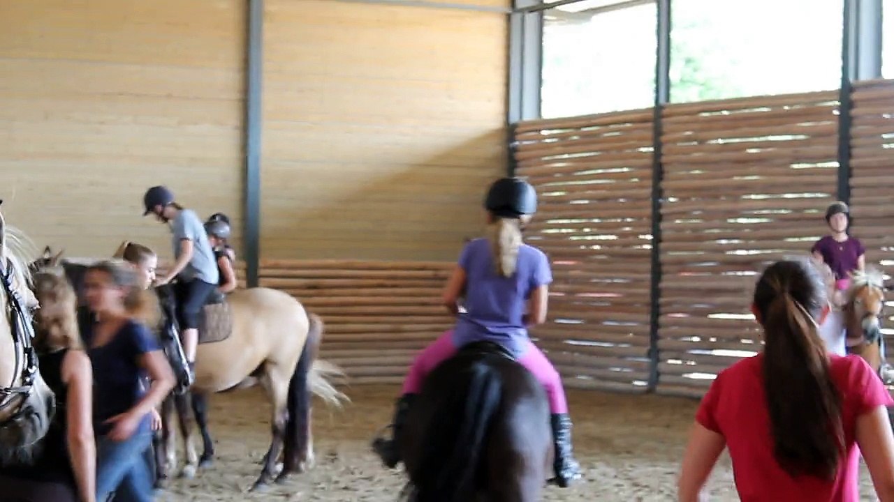 Video 03 activité équestre trot