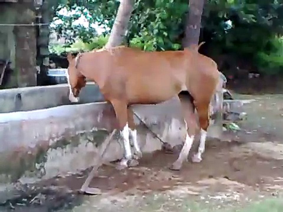 VSAF in August 2010.mp4