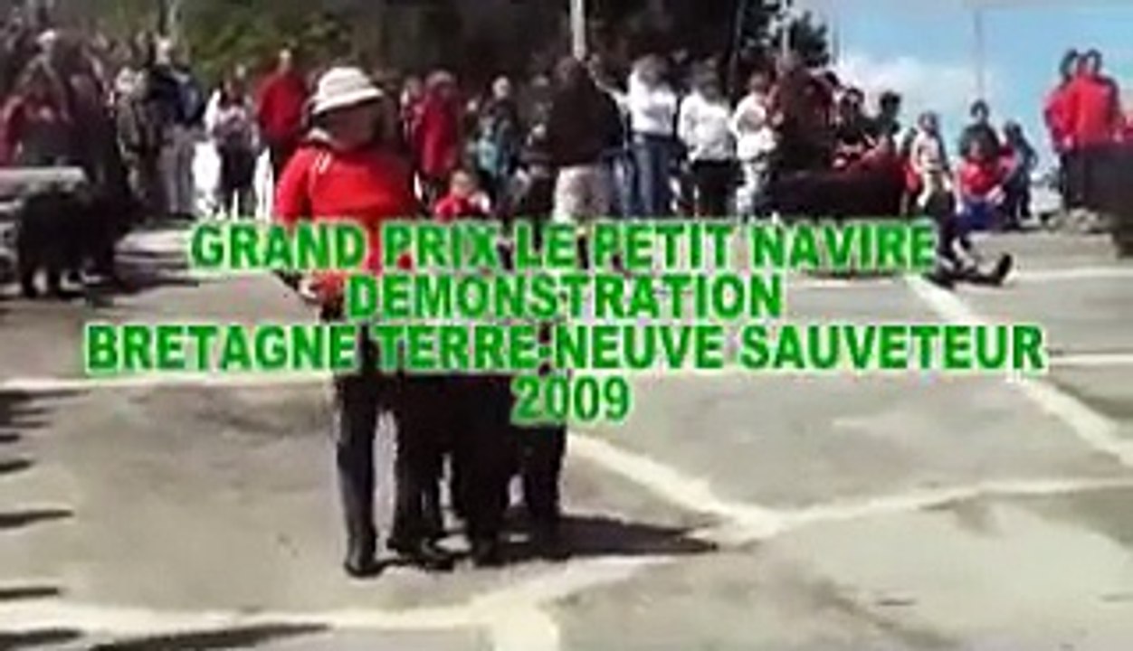 DEMONSTRATION CHIEN TERRE-NEUVE  PETIT NAVIRE 2009