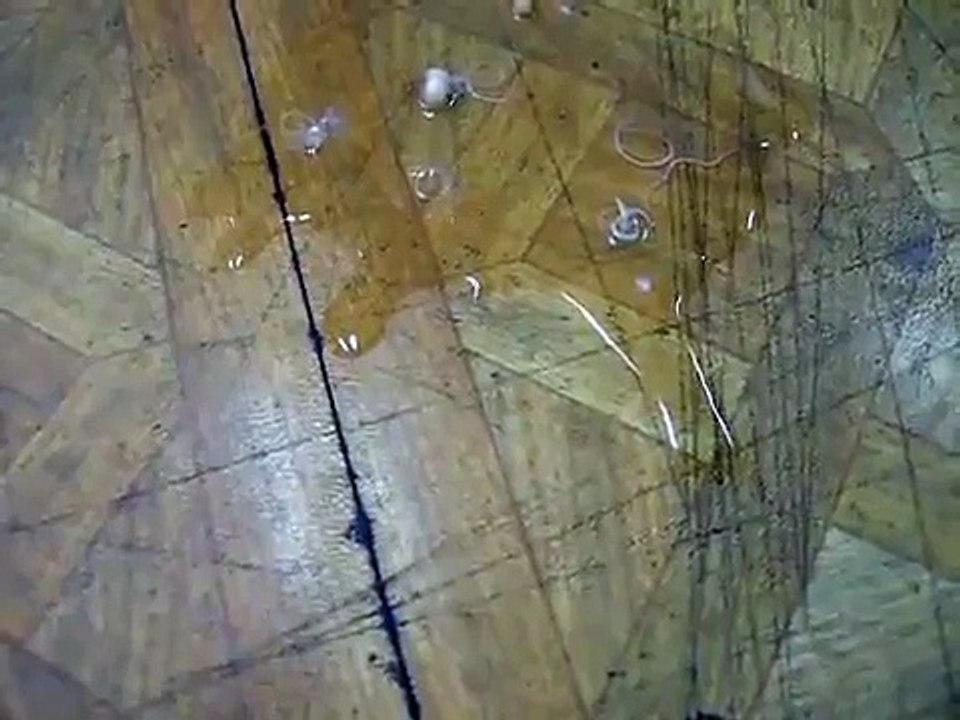【嘔吐蛔蟲】警告！不喜勿入 DSCN1452