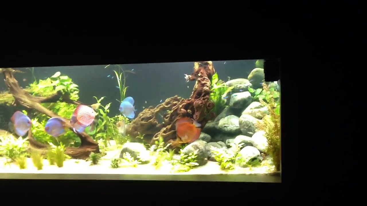 AQUARIUM 2000 LITRES