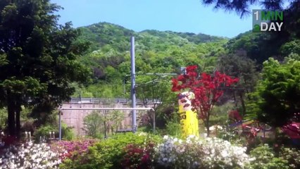 Banana Double Take!   1MINaDAY