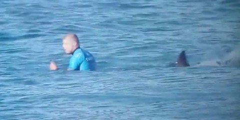 Surf : Mick Fanning attaqué par un requin en finale du J-Bay Open