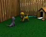 Animation 3D Dog and Cat Animação 3d cachorro e gato