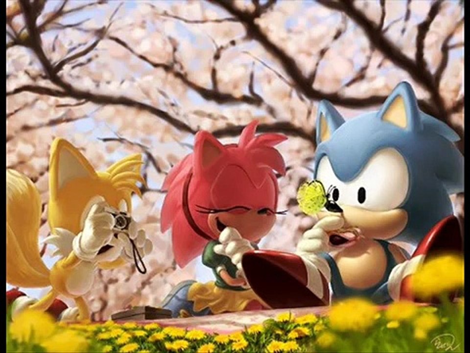 SONIC FUNNY MOMENTS 2013