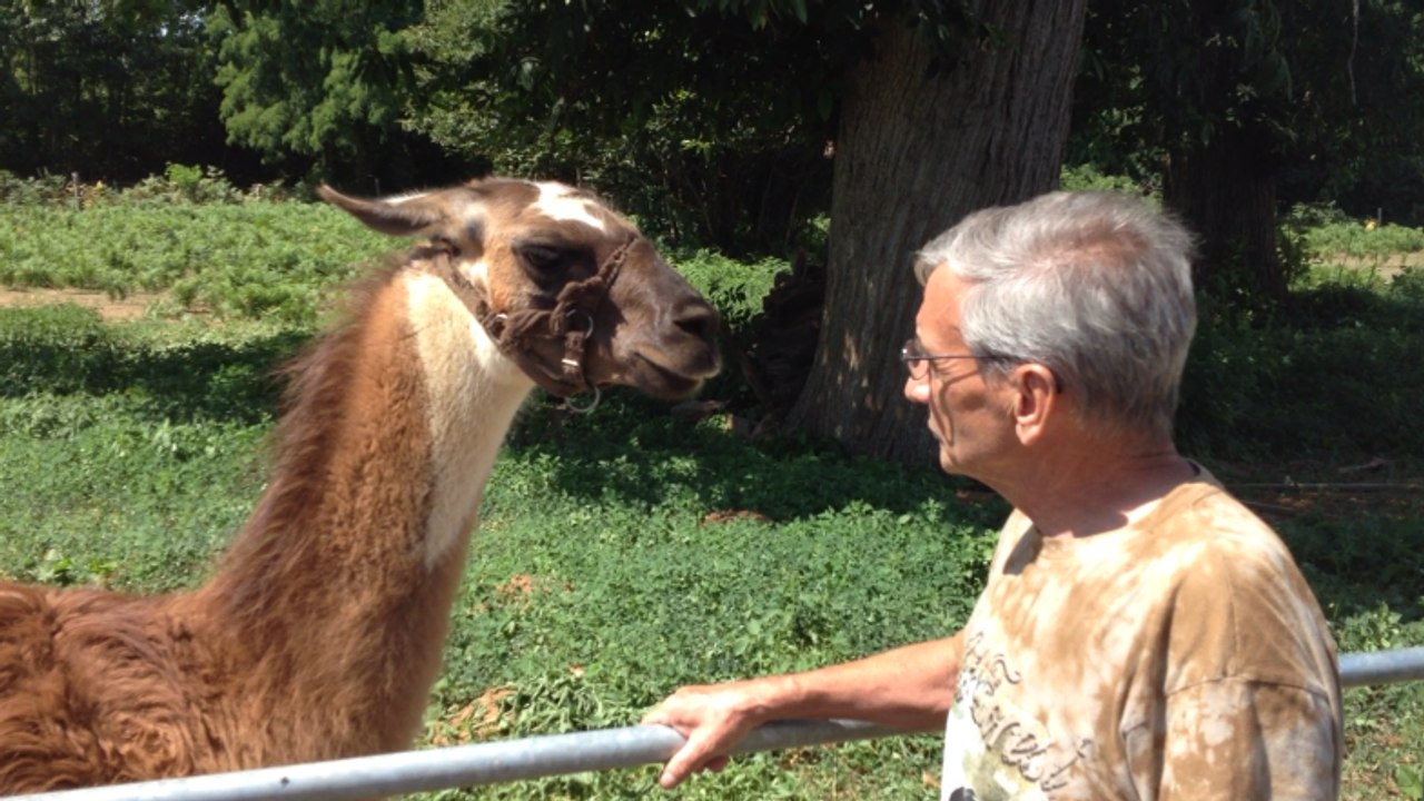 Le refuge des Crins Verts