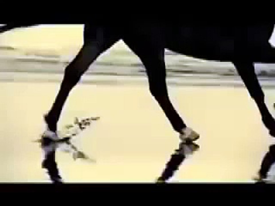 Horses