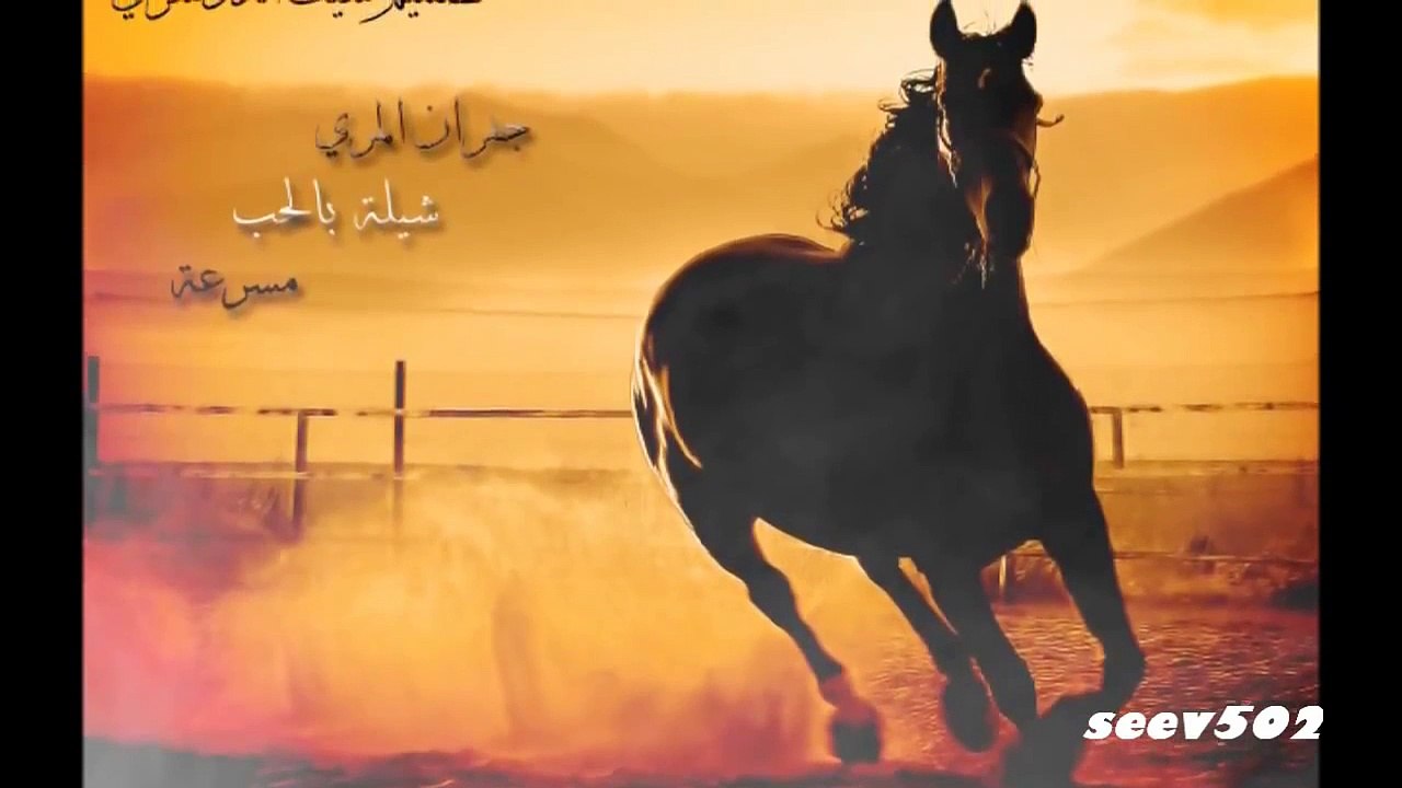 شيلة بالحب جفران المري مسرعة