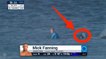 Mick Fanning attaqué par un requin en pleine finale du J-Bay Open 2015
