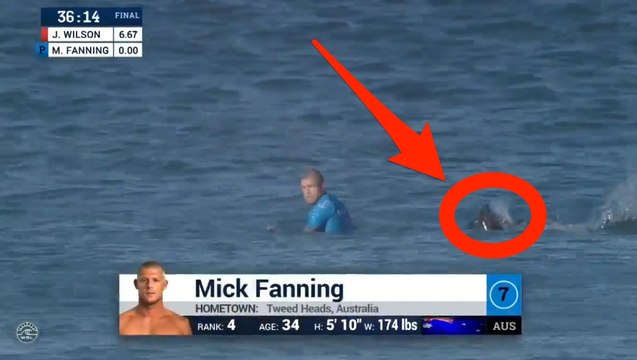 Mick Fanning attaqué par un requin en pleine finale du J-Bay Open 2015