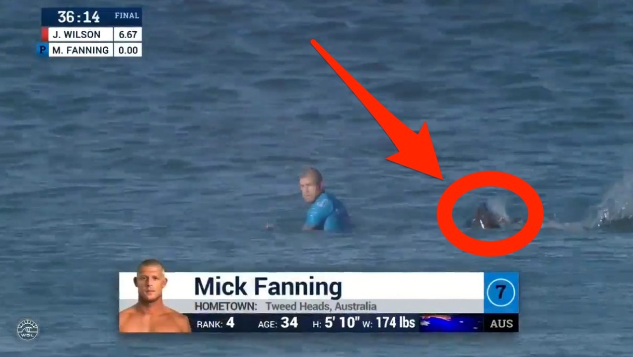 Mick Fanning attaqué par un requin en pleine finale du J-Bay Open 2015