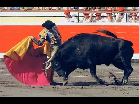 Musica Taurina - banda de música del maestro tejera