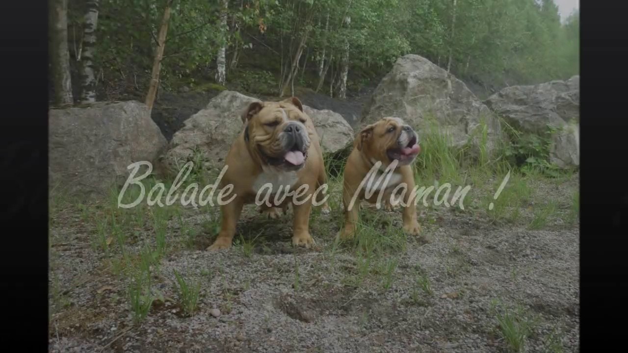 Lady & Mystic en balade !