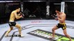 Donnie Yen vs Bruce Lee - CPU Simulation - EA Sports UFC 2014