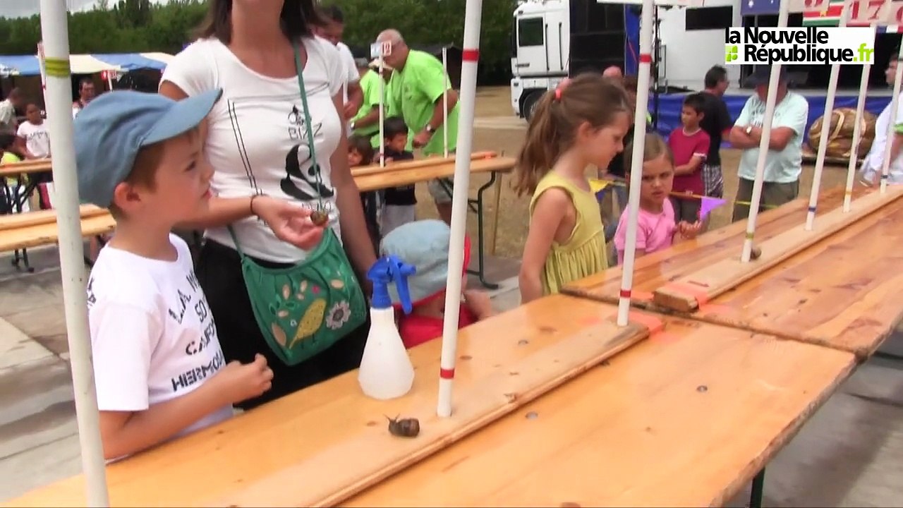 VIDEO. Mareuil-sur-Cher (41) : la course d'escargots est tout un sport