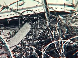 Line Of Fire (4of12): Cambrai (WWI Documentary)